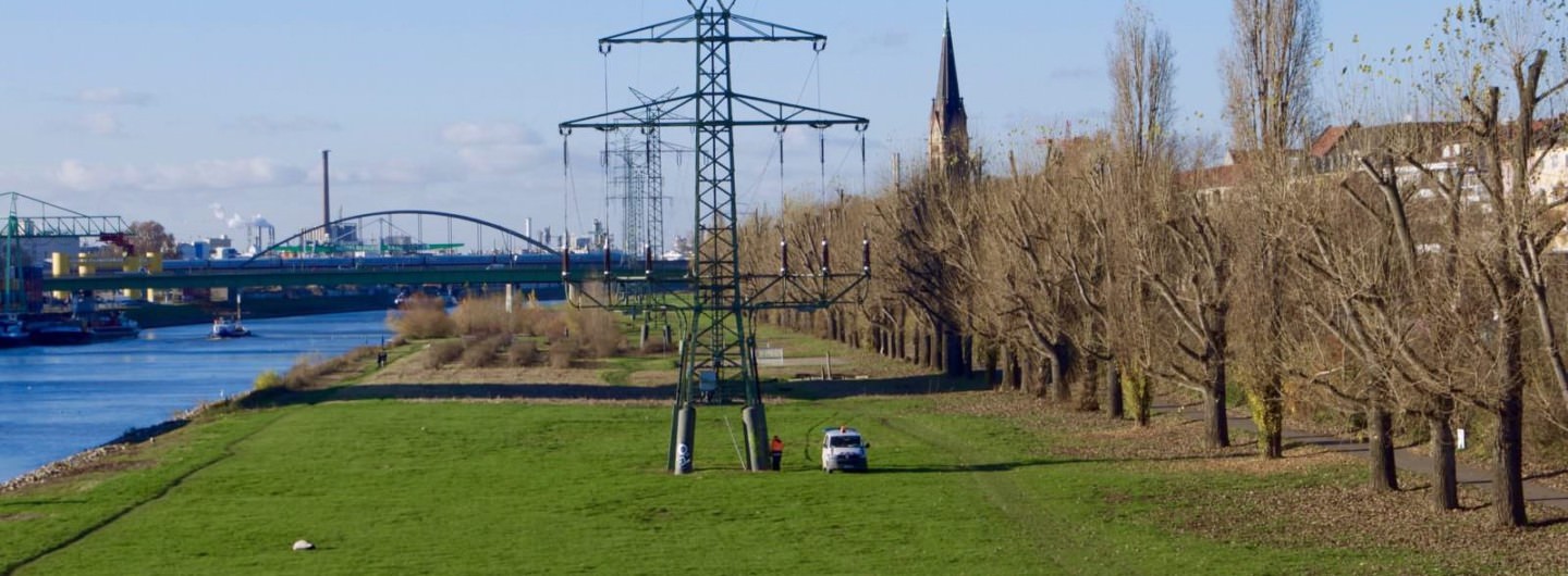 Sport, Kultur, Aufenthaltsqualität… die Neckarstädter wollen ihr Neckarufer zurückgewinnen | Foto: M. Schülke