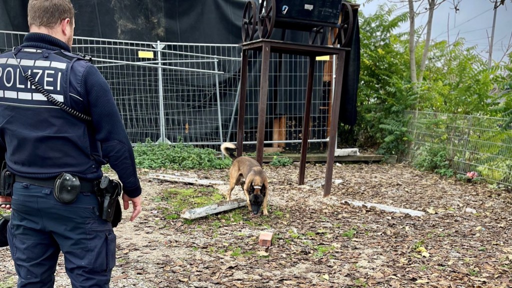 Den speziell geschulten Polizeihunden entgeht kein Drogenversteck | Foto: Polizei Mannheim