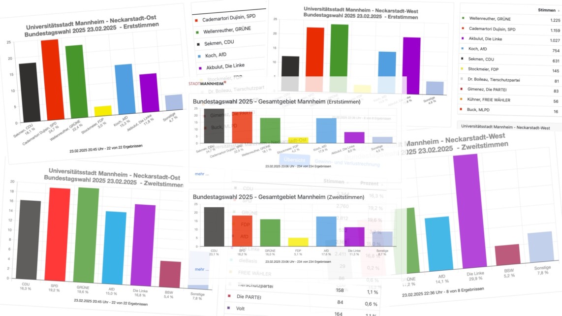 btw2025 wahlergebnisse titelbild 1142x642 - Bundestagswahl 2025: Neckarstadt trotzt dem Rechtsruck